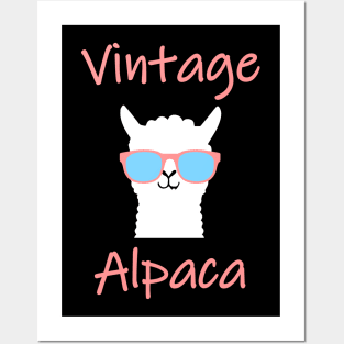 Vintage Alpaca Retro Llama Posters and Art